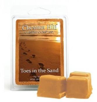 CHESTNUT HILL Candles Soja Duftwachs 85 g TOES IN THE SAND